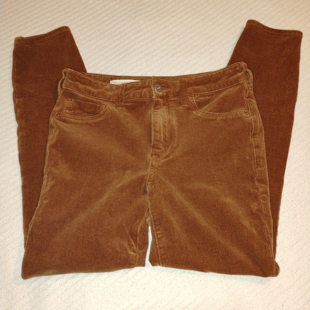 Pilcro and the Letterpress Brown Skinny Pants (Anthropologie)